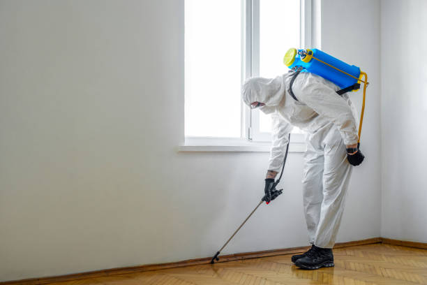 Best Termite Inspection and Treatment  in Friars Point, MS